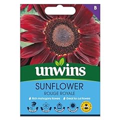 Pack sunflower garden for sale  Delivered anywhere in UK