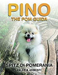 Pino the pom usato  Spedito ovunque in Italia 