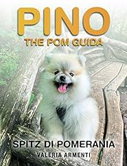 Pino the pom usato  Spedito ovunque in Italia 