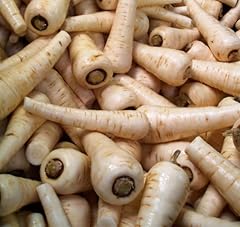 Parsnip plug plants for sale  Delivered anywhere in UK