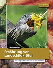 Ernährung landschildkröten n gebraucht kaufen  Wird an jeden Ort in Deutschland