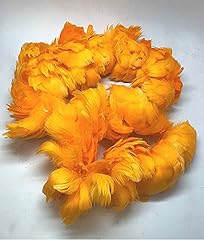 American feathers strung for sale  Delivered anywhere in USA 
