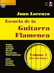 Escuela guitarra flamenca usato  Spedito ovunque in Italia 