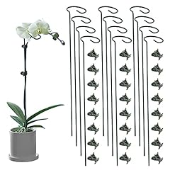 Lunhans pack plant for sale  Delivered anywhere in USA 