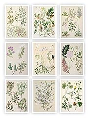 Ink inc. botanical for sale  Delivered anywhere in USA 