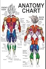 Muscle chart anatomy for sale  Delivered anywhere in USA 