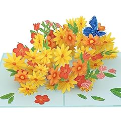 Papercrush pop karte gebraucht kaufen  Wird an jeden Ort in Deutschland