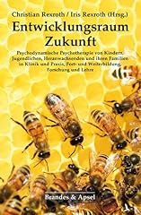 Entwicklungsraum zukunft psych gebraucht kaufen  Wird an jeden Ort in Deutschland