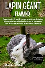 Lapin géant flamand d'occasion  Livré partout en France