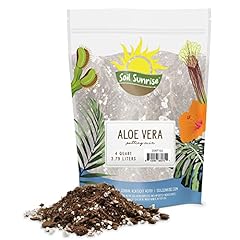 Aloe vera potting for sale  Delivered anywhere in USA 