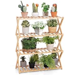 Giantex bamboo plant for sale  Delivered anywhere in USA 