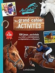 Grand cahier activités d'occasion  Livré partout en Belgiqu