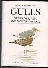 Gulls asia north for sale  Delivered anywhere in UK