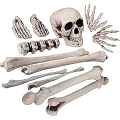 Boland 74391 skelett gebraucht kaufen  Wird an jeden Ort in Deutschland