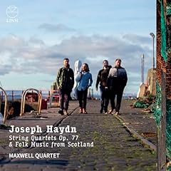 Joseph haydn string usato  Spedito ovunque in Italia 