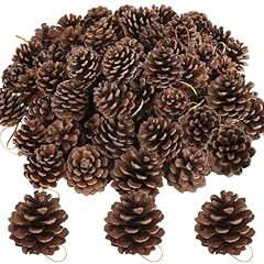 Pcs pine cones for sale  Delivered anywhere in USA 