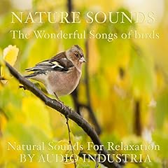 Natural sounds bird for sale  Delivered anywhere in UK