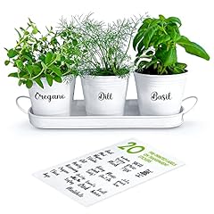 Zestigreens herb pot for sale  Delivered anywhere in USA 