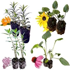 Pollinator garden live for sale  Delivered anywhere in USA 