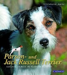 Parson und jack usato  Spedito ovunque in Italia 
