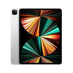 Apple 2021 ipad usato  Spedito ovunque in Italia 