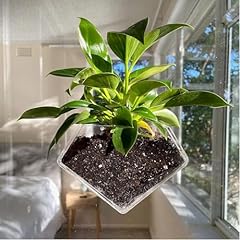 Wdcfxy transparent acrylic for sale  Delivered anywhere in USA 