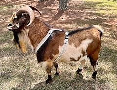 Goat harness sheep for sale  Delivered anywhere in USA 