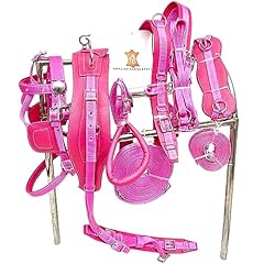 Amazing horse stuff for sale  Delivered anywhere in USA 