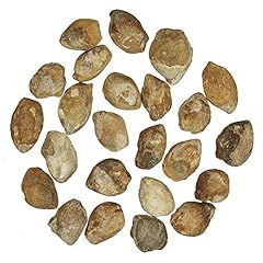 Naturosphère minéraux fossil d'occasion  Livré partout en France