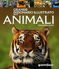 Grande dizionario illustrato usato  Spedito ovunque in Italia 