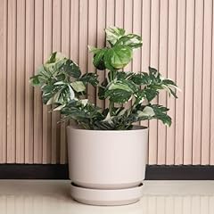 Elly décor inch for sale  Delivered anywhere in USA 