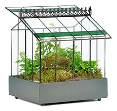 Potter glass plant for sale  Delivered anywhere in UK