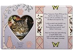 Banberry designs cat for sale  Delivered anywhere in USA 