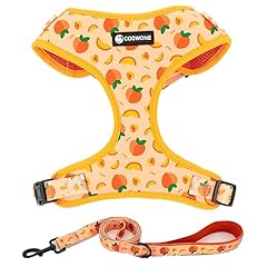 Dog harness leash for sale  Delivered anywhere in USA 