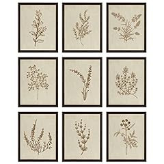 Decor botanical wall for sale  Delivered anywhere in USA 