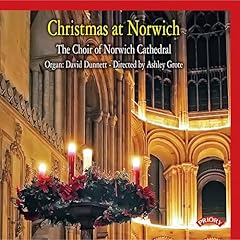 Christmas norwich for sale  Delivered anywhere in UK