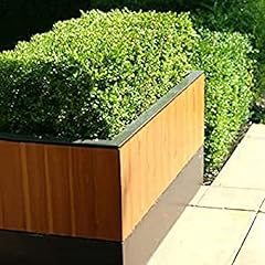 Box hedging plants for sale  Delivered anywhere in UK