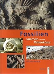 Fossilien sammeln stseeküste gebraucht kaufen  Wird an jeden Ort in Deutschland