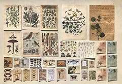 Deseaco vintage aesthetic for sale  Delivered anywhere in USA 