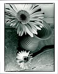 Fleurs vase photo d'occasion  Livré partout en France