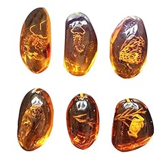 Vorcool 5pcs amber for sale  Delivered anywhere in USA 