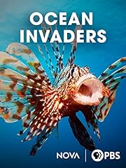 Ocean invaders for sale  Delivered anywhere in USA 