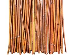 Tall natural thick for sale  Delivered anywhere in USA 