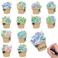 Whaline 120pcs succulent for sale  Delivered anywhere in USA 