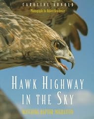 Hawk highway sky for sale  Delivered anywhere in UK