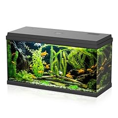 Aqpet acquario vetro usato  Spedito ovunque in Italia 