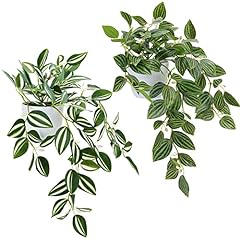 Cewor fake plants for sale  Delivered anywhere in USA 