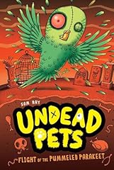 Flight pummeled parakeet for sale  Delivered anywhere in USA 