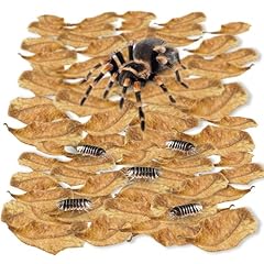 Sungrow 100 pack for sale  Delivered anywhere in USA 