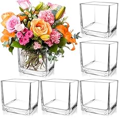 Piniwon pack square for sale  Delivered anywhere in USA 